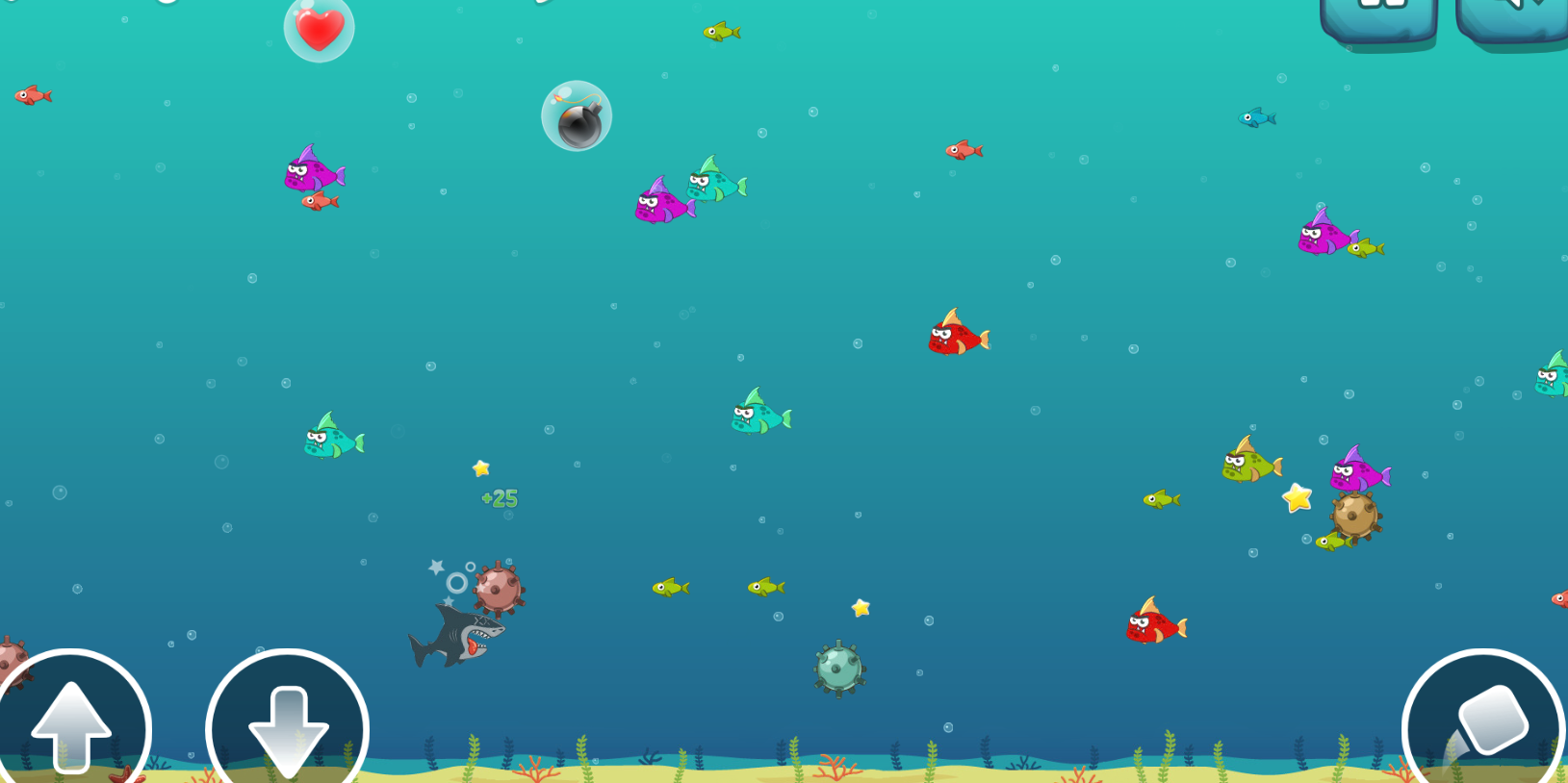 Crazy Shark Features